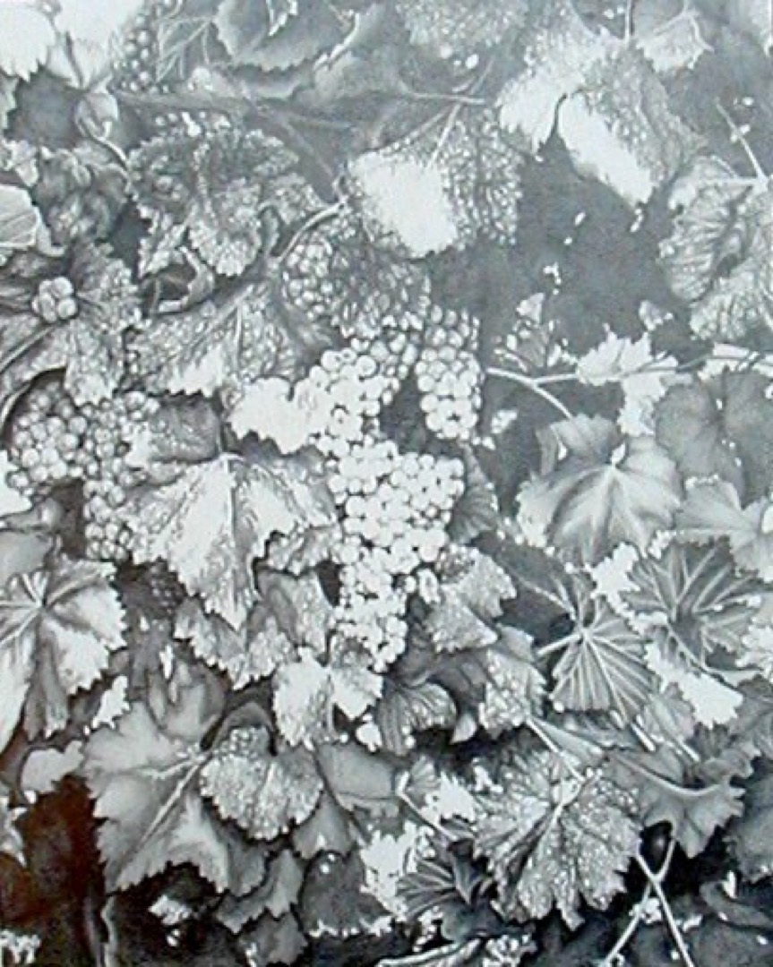 Grapes