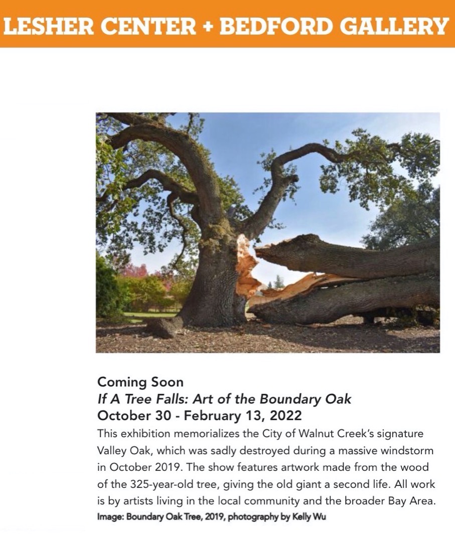 Boundary Oaks Flyer