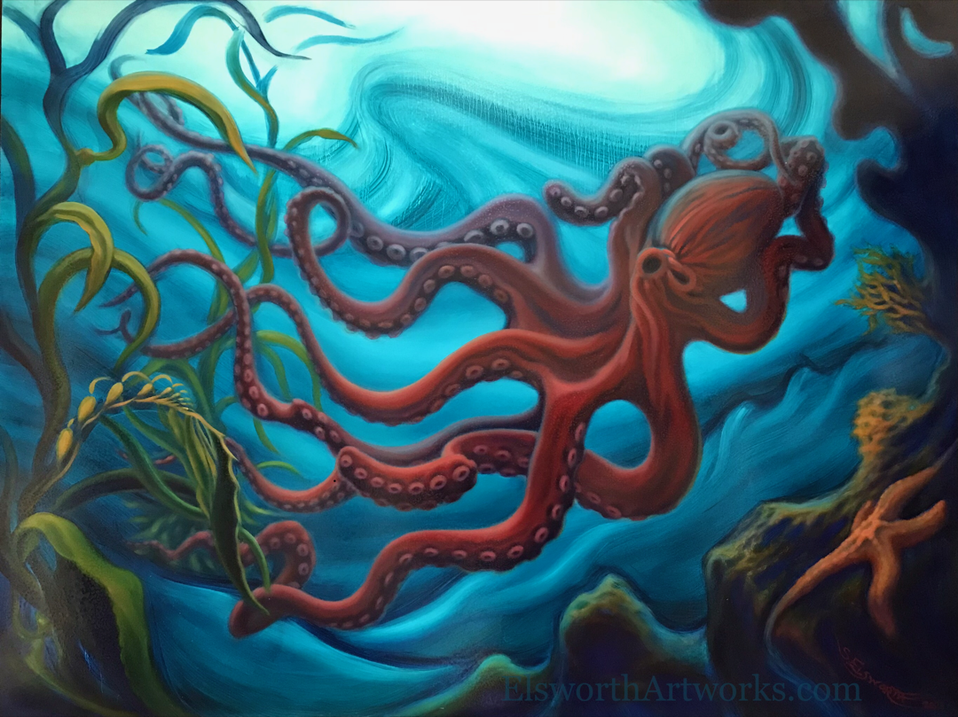 Giant Octopus - 3
