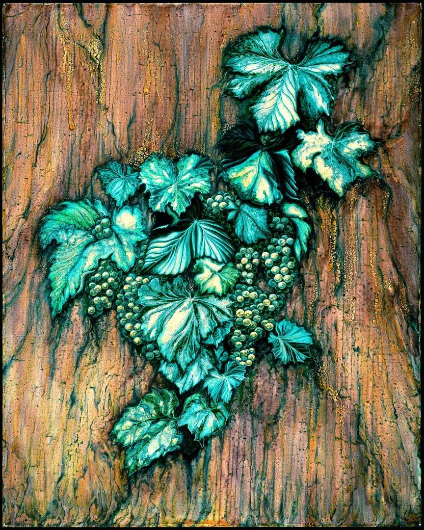 Grapevine on Wood